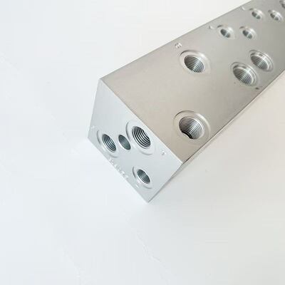 819055 Corps de soupape Elm Spreader Pièces détachées
